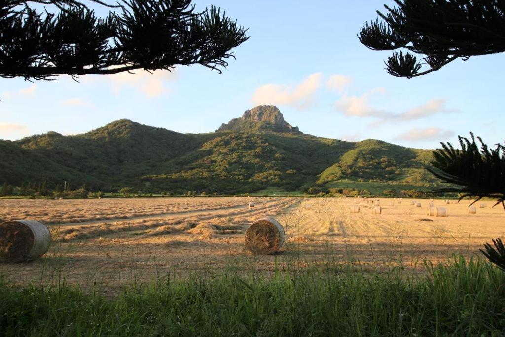 Island On The Sea Apartamento Kenting Exterior foto
